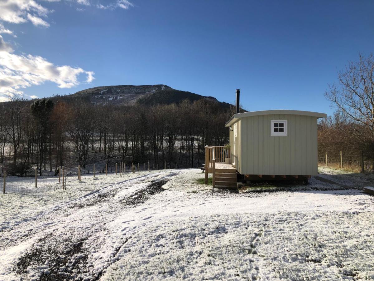 Rosemary Shepherds Hut, Clay Bank Huts Ingleby Greenhow Exteriör bild
