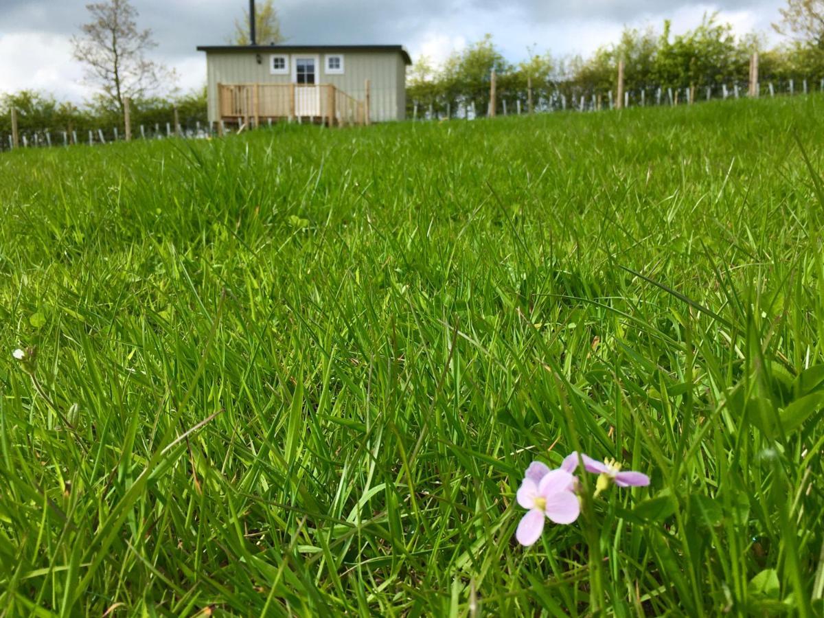 Rosemary Shepherds Hut, Clay Bank Huts Ingleby Greenhow Exteriör bild